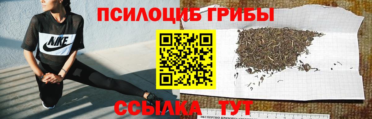 Медногорск  Галлюциногенные грибы Cubensis  Псилоцибиновые грибы Cubensis  Вход с VPN 